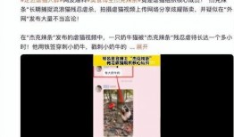 杰克辣条被人爆料视频是真的吗,真相究竟如何？